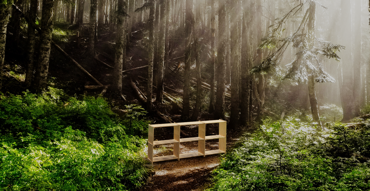 Thorvald Lissau reol i dansk skov